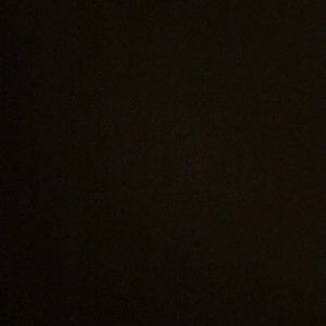 Meet your Posher, Reyna